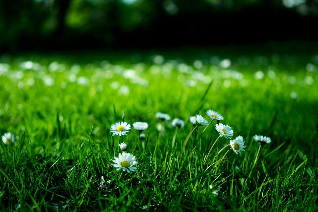 Hey, It’s Okay to Let Some Things Go